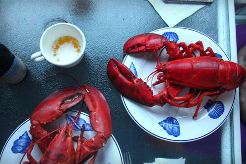 Red lobsters on blue and white shell plates 4th of July red, white and blue
