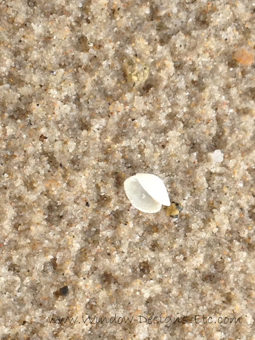 Tiny clam shell in Cape Cod sand. Interior Design inspiration at the beach for a Cape Cod home. See more at www.windowdesignsetc.com by Marie Mouradian