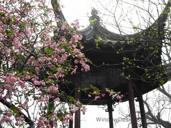 Centuries old Lingering Garden in Suzhouz, China. Apple or cherry blossoms with pagoda. Contact WindowDesignsEtc.com for further information. Springtime in China. See more on my blog www.windowdesignsetc.com - Marie Mouradian