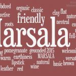 A collection of descriptive words I found on social media from interior designers across the country. Love it or hate it, Pantone's Marsala is it for 2015. - Marie Mouradian WindowDesignsEtc.com - Marsala, Pantone 2015 Color of the Year