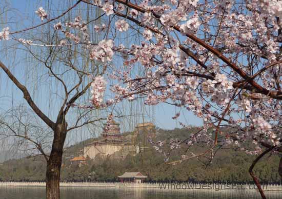 The Summer Palace and Longevity Hill in Beijing, China. Apple or cherry blossoms in the foreground.